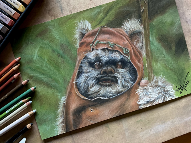 2020 ewok Kopie